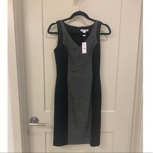NWT WHBM Sheath Dress